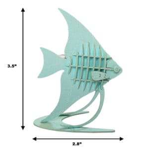 angelfish size