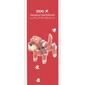 dachshund package