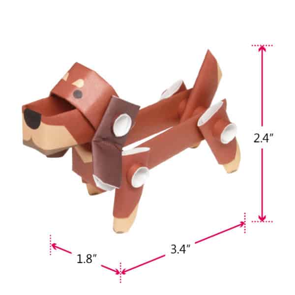 dachshund size