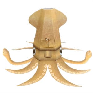 squid front