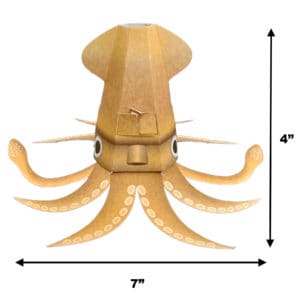 squid size