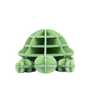 turtle front