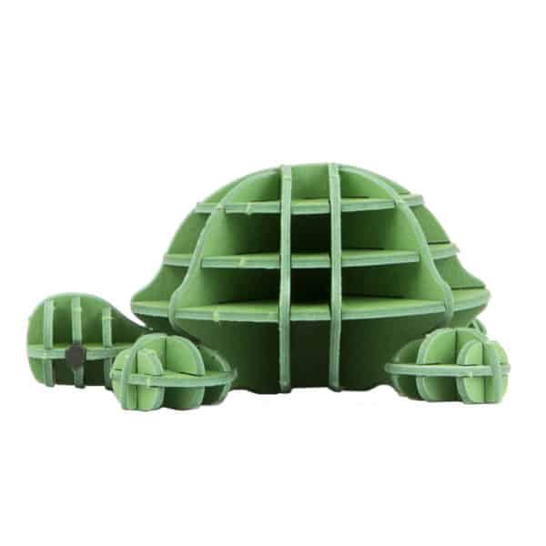 turtle side