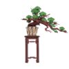 Rolife Evergreen Pine Bonsai