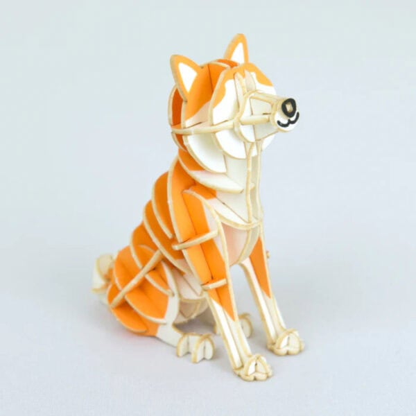 si-gu-mi Plus Akita Inu - Image 5